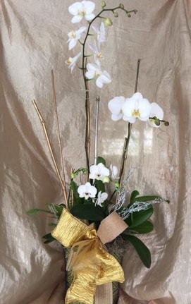 White roses bouquet for decoration 